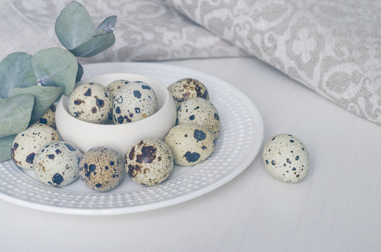 Table setting with white plate, green twig, linen napkin and quail eggs. Prepare to Easter. Toned in cold scale