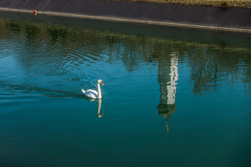 Fototapeta premium Kirche St. Valentin spiegelt sich im Isarkanal in Unterföhring bei München vor einem Schwan