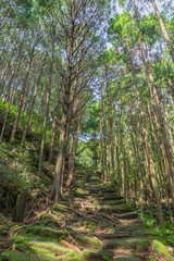 松本峠　熊野古道