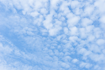 Fototapeta na wymiar Blue Sky Clouds Alto-straus Background