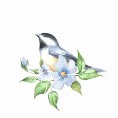 Bird on branch. Watercolor painting 4