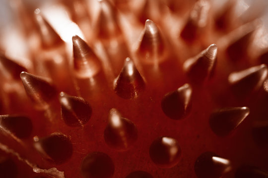 Macro background of abstract red cones