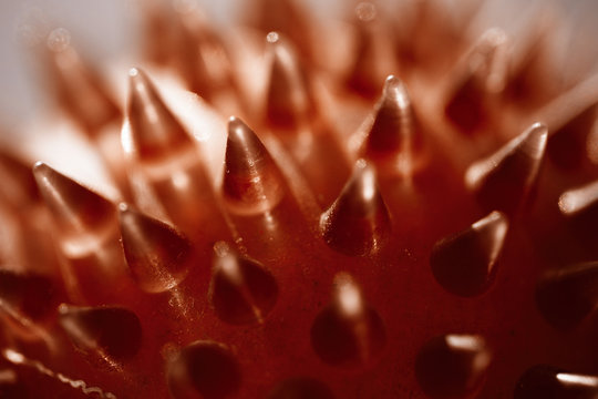 Macro background of abstract red cones