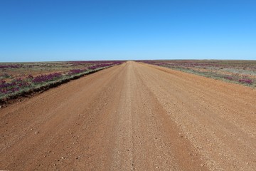 Fototapeta na wymiar gravel road into nothing of Australia 