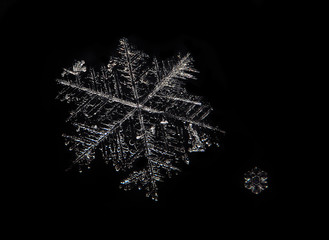 Snowflake close up isolated at the black