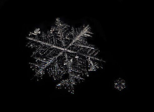 Snowflake Close Up Isolated At The Black