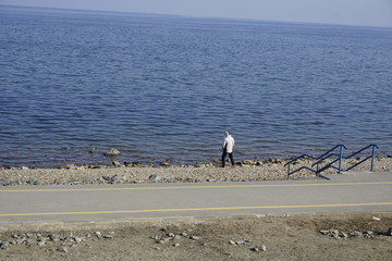Амурский  залив. Владивосток. Приморье. Россия.