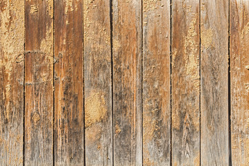 Old brown wooden wall with a shabby paint