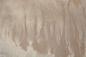 Semi-abstract pattern of trees made by water in the sand on the beach at low tide, with shades of brown, beige and khaki.