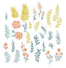 Vector floral elements  in doodle style -  flowers and leaves. Summer flowers for greeting cards, wedding designs or invitations.