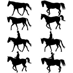 Set vector silhouette of horse and jockey
