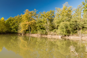 intense colors and scents of autumn in the Chianti hills in Tuscany