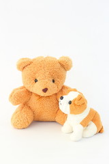 Teddy Bear and brown dog dolls, brown ears on a white background.