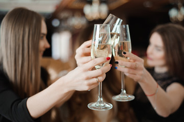 Portrait of happy young friends touching the glasses with each other