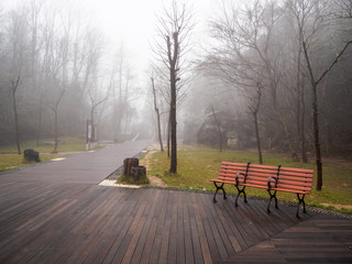 walkway  in the thick fog and low light