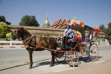 Naklejka na ściany i meble Travelers thai women posing with horse drawn carriage before tour around city at Wat Phra That Lampang Luang