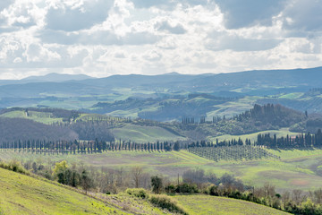 Fototapeta na wymiar trees and houses in the green hills of Tuscany in spring