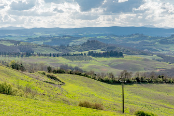 Obraz premium trees and houses in the green hills of Tuscany in spring