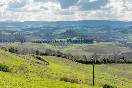 trees and houses in the green hills of Tuscany in spring