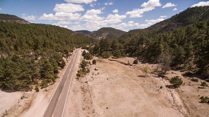 Long road in the forrest, Barrancas del Cobre, Mexico