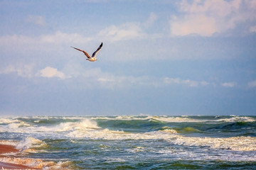 Fototapeta na wymiar Seagull flying above stormy Black Sea by sandy seashore. Scenic seaside summer landscape with sea surf