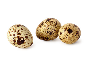 quail eggs isolated on a white background