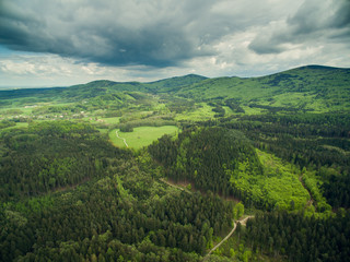 Fototapeta na wymiar Boreal forest, Czech republic