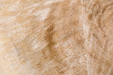 wood surface