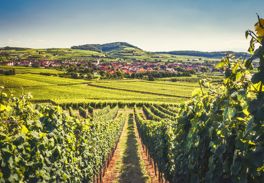 Countryside landscape with a historic village, traditional houses and vineyards. Scenic view of Kaiserstuhl, Germany, Black Forest. Beautiful summer travel background.