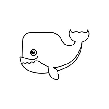 whale cartoon drawing animal vector icon illustration