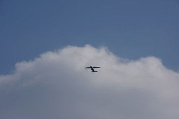 Fototapeta na wymiar 飛行機と青空と白い雲