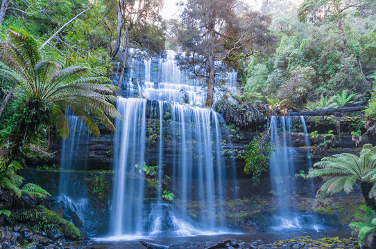 Waterfall in tropical rainforest. Tasmania © Olga K
