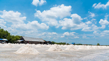 Worker shoveling salt at salt pan with blue sky at thailand