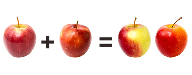 Red apples on a white, mathematics.
