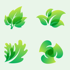 Green leaf eco design friendly nature elegance symbol and natural element ecology organic vector illustration.