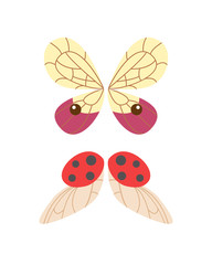 Wings isolated animal feather pinion butterfly freedom flight and natural hawk life peace design flying element eagle winged side shape vector illustration.