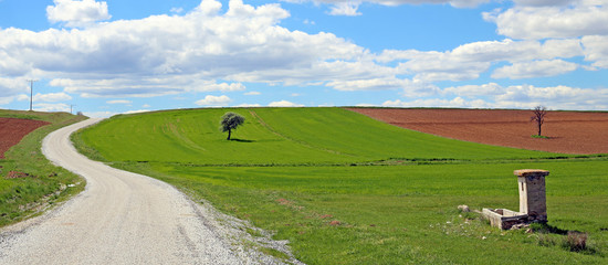 Naklejka premium road in a field