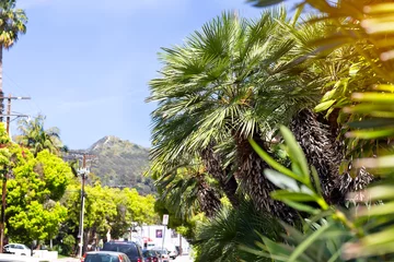 Zelfklevend Fotobehang Street in the city of Los Angeles, palms and sunlight, blue sky © _nastassia