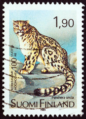 Snow Leopard, Panthera uncia (Finland 1989)