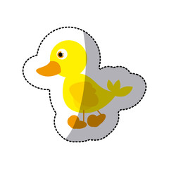 beautiful cartoon duck with big eyes, vector illustration