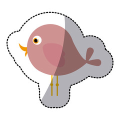 beautiful cartoon bird with big ayes, vector illustration