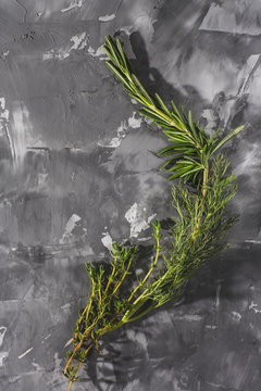 Spices and herbs. Rosemary dill and thyme on gray