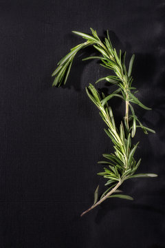 Rosemary herb on chalk board. view with copy space