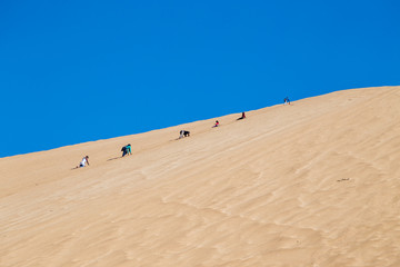 Namibian desert