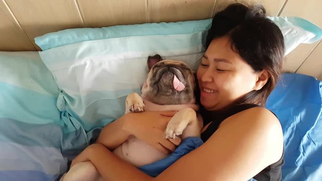 Young asian beautiful woman blowing a kiss to her pug at the bed, Cute Mops kissing a girl, dog and owner sleep on the bed and hug together