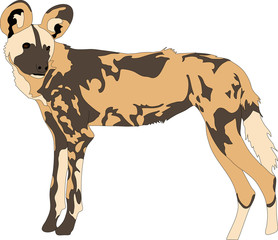 Portrait of a hungry and firerce wild dog, hand drawn vector illustration isolated on white background