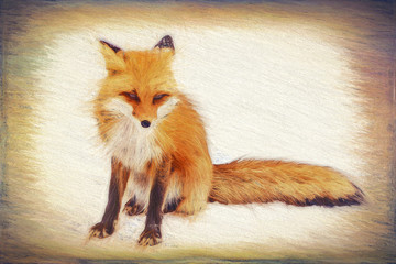 Whimsical illustration sitting of red fox with soft border