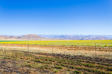 Fototapeta premium Landscape from South Africa, Dragon's mountains