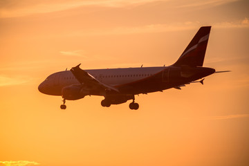 Airplane landing at sunset