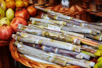 Green sugar-canes on traditional farmer market on Madeira